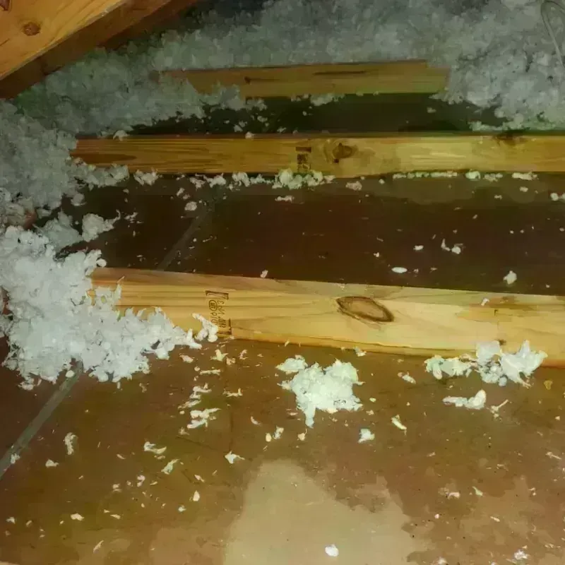 Attic Water Damage in Olive Hill, KY